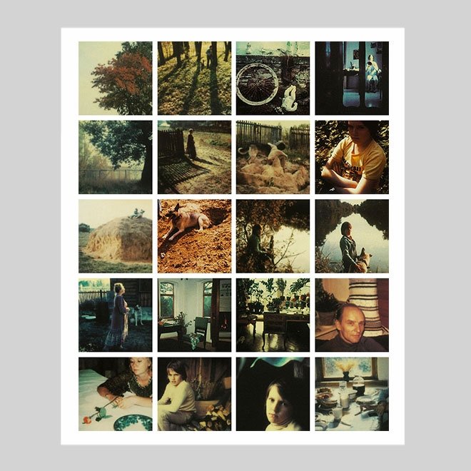 Tarkovski'nin kendi çektiği polaroid fotoğraflardan bir seçki
